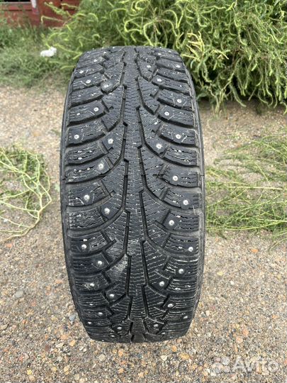 Nordman 5 205/55 R16