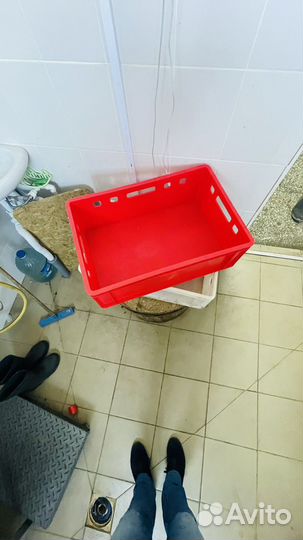 Ящик пластиковый
