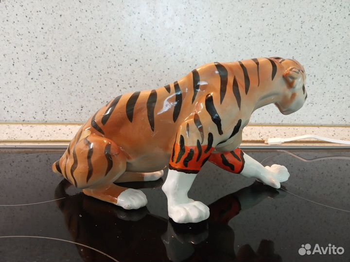 Тигр цирковой. Лфз