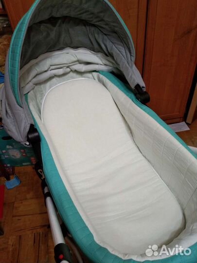 Коляска 2 в 1 adamex Gloria