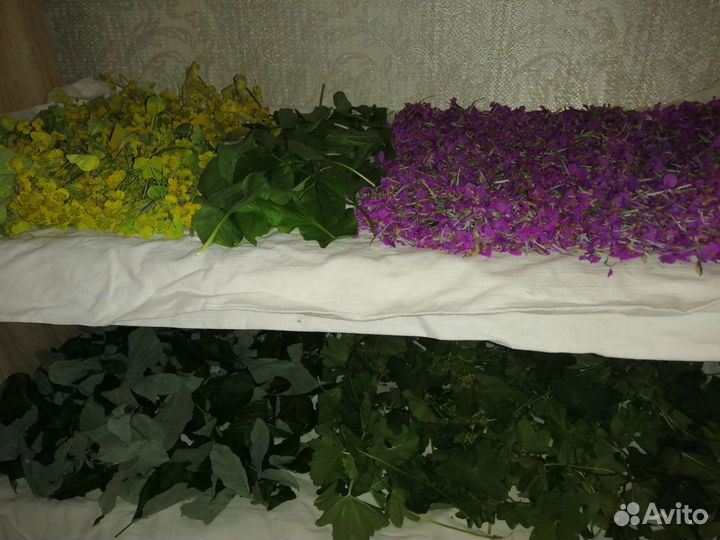 Травы и сборы для здоровья от Уральской Травницы