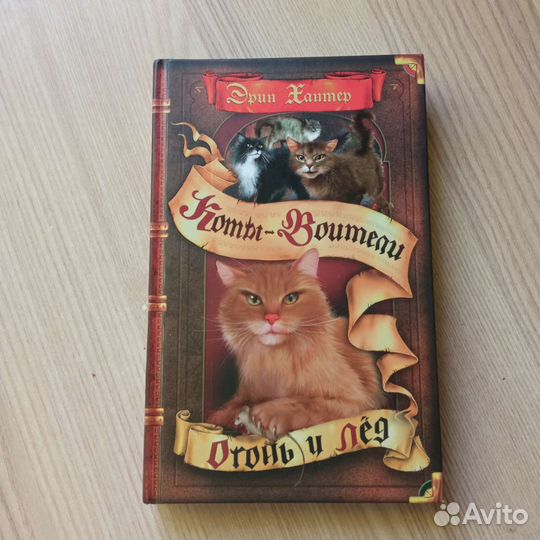 Коты воители