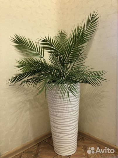 Декоративные растения