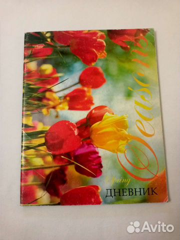 Школьный дневник