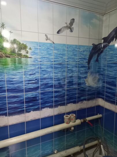 Дом 40 м² на участке 11 сот.