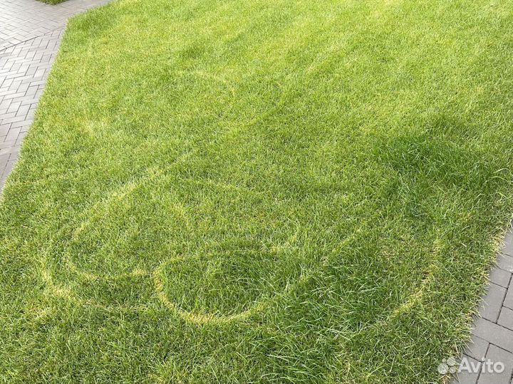 Рулонный газон для таунхаусов
