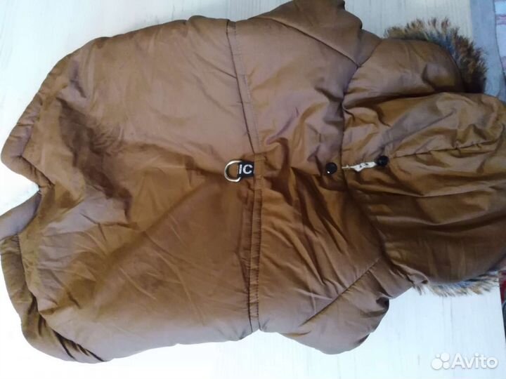 Одежда, амуниция