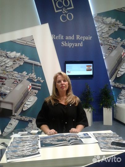 Гид, Экскурсовод по Москве