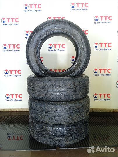 Brasa IceControl 195/65 R15