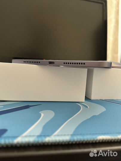 iPad mini 6 purple