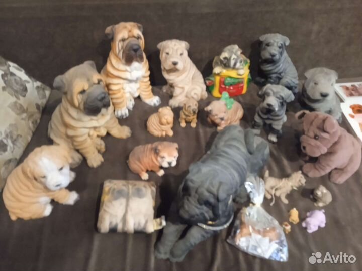 Коллекция шарпеев