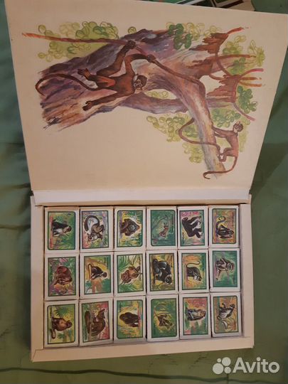 Набор спичек 