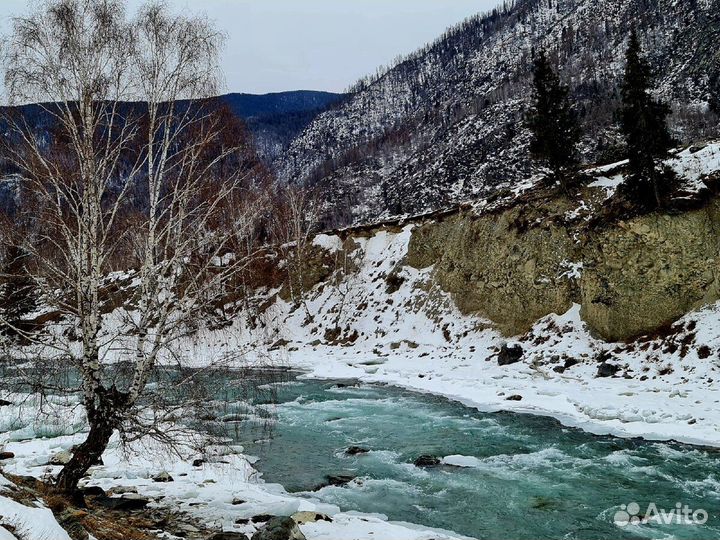 Новогодний тур в Горный Алтай