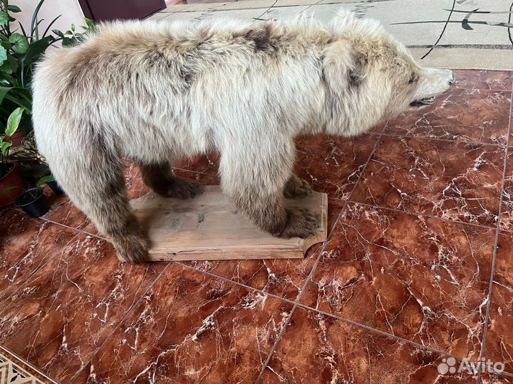 Чучело медведя имитация