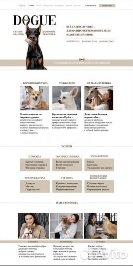 Граффический дизайнер