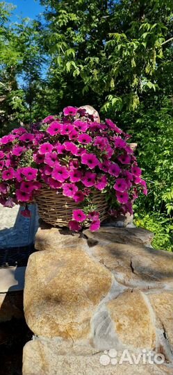 Кашпо из ротанга