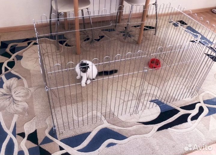 Клетки и вольеры для животных в Саратове в наличии