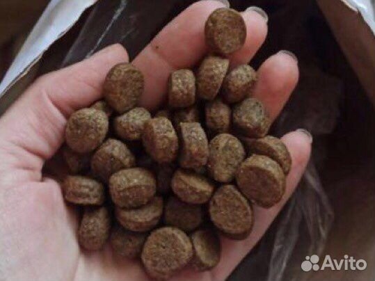 Корм для собак