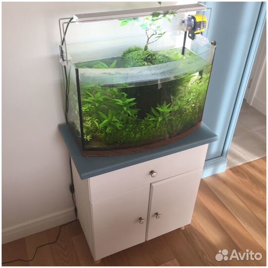Аквариум телевизор 55 литров с оборудованием
