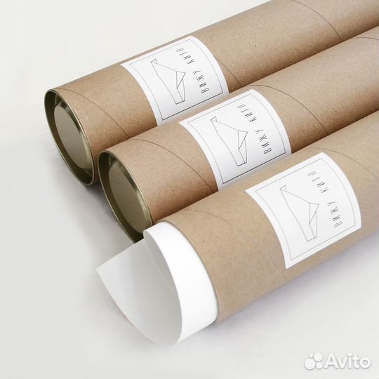 Постер с летающим котом, Звездопад