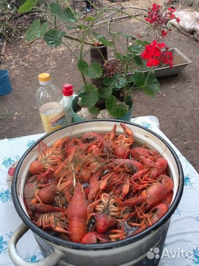 Ищу инвестора