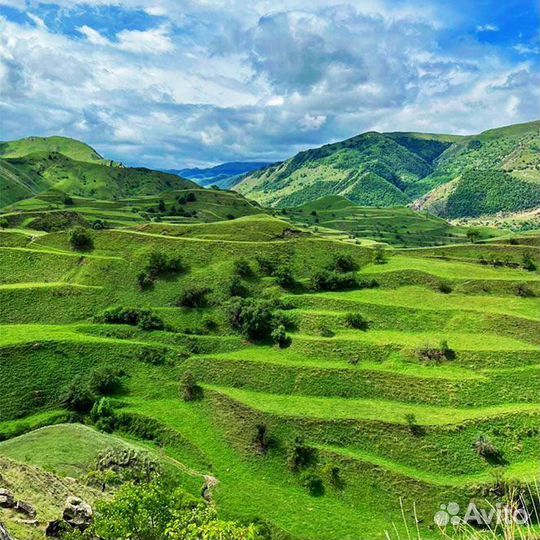 Тур в Дагестан