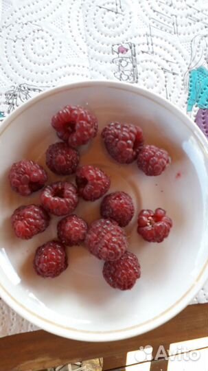 Клюква,Малина,Хризантемы