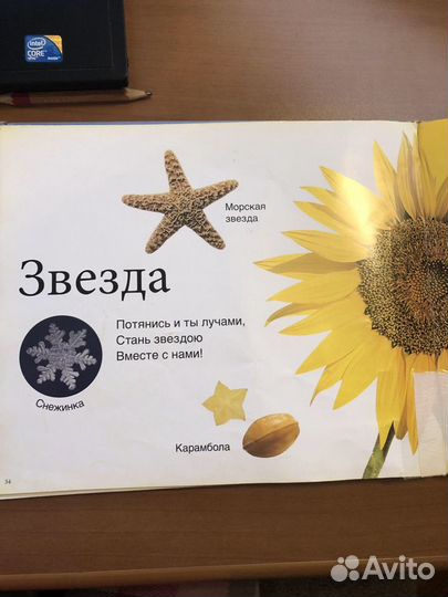 Книга формы и фигуры