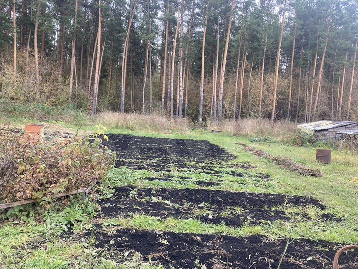 Участок 15 сот. (СНТ, ДНП)