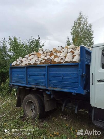 Дрова Берёза