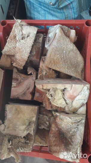 Корм для собак. Мясной фарш для собак. Доставка