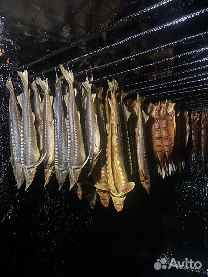 Астраханская рыба деликатес