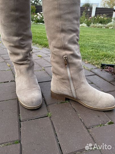 Сапоги Gerzedo