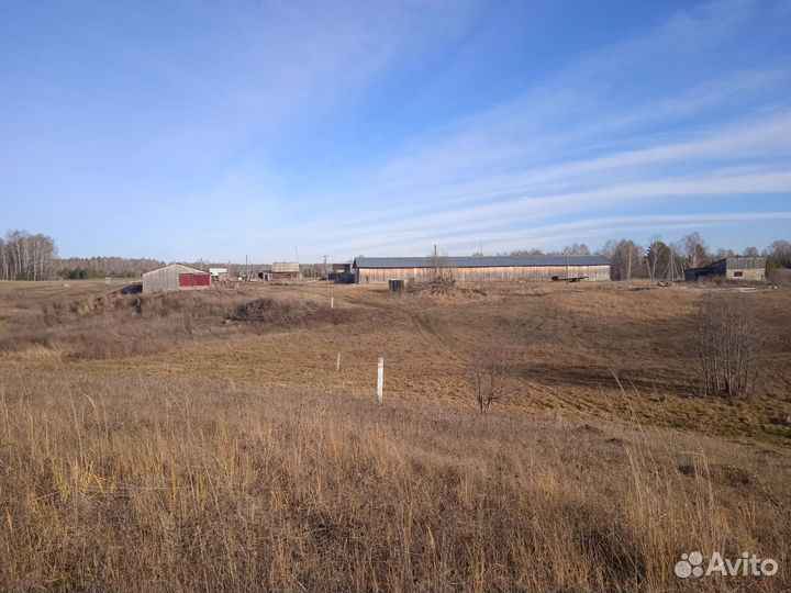 Фермерское хозяйство