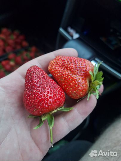 Клубника и Черешня свежая с доставкой