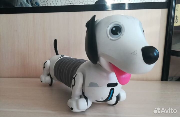 Собака робот Дэкел