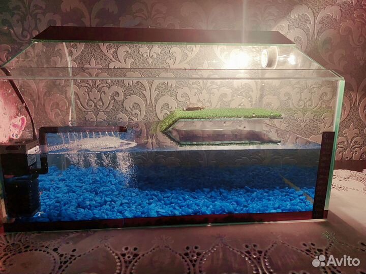 Акватеррариум для черепахи