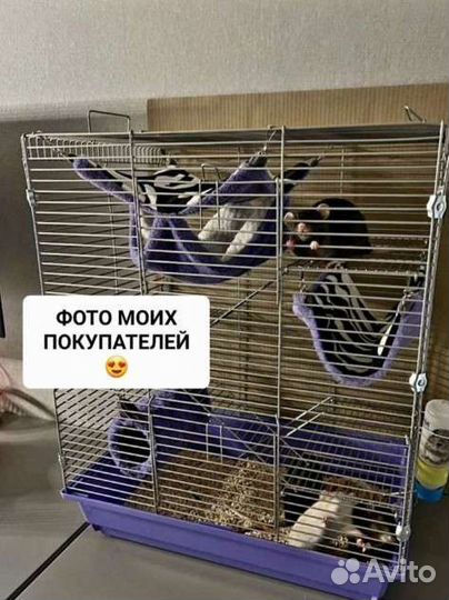 Клетка для грызунов крыс дегу