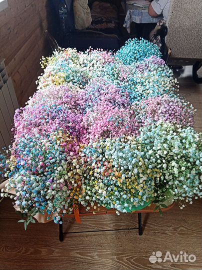 Гипсофила букетиком