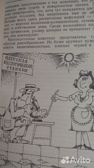 Б.Сергеев Жизнь океанских глубин