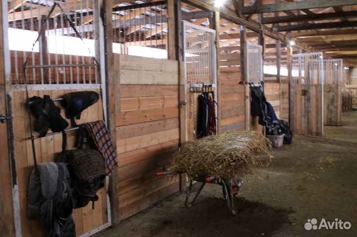 Постой лошадей