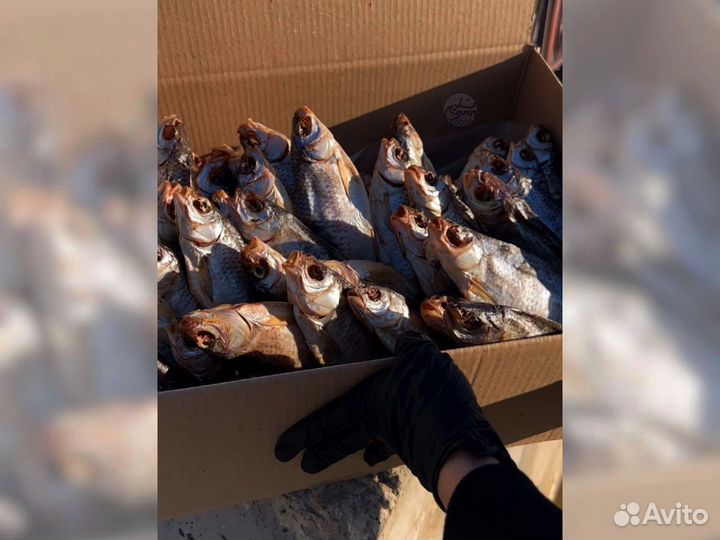 Вобла вяленая с икрой