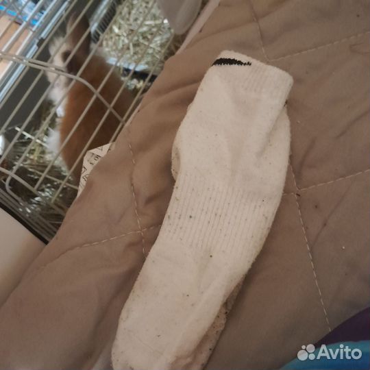 Носок Ким Чен Ына