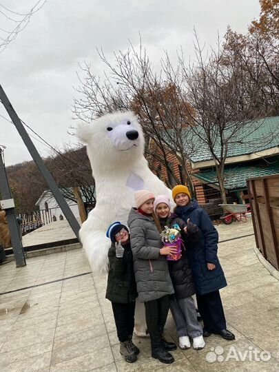 Медведь на праздник/ поздравление белого медведя