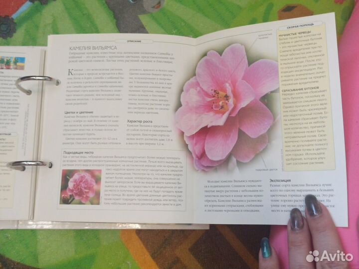 Книги о цветах