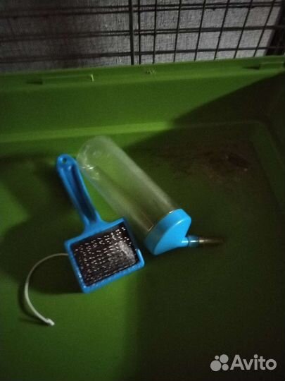 Сено, лоток, антигрызин и др