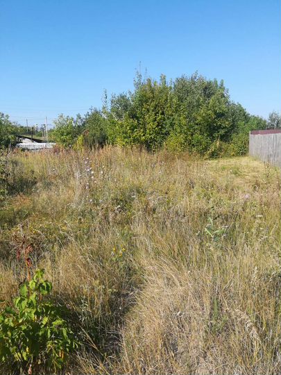 Участок 8 сот. (ИЖС)