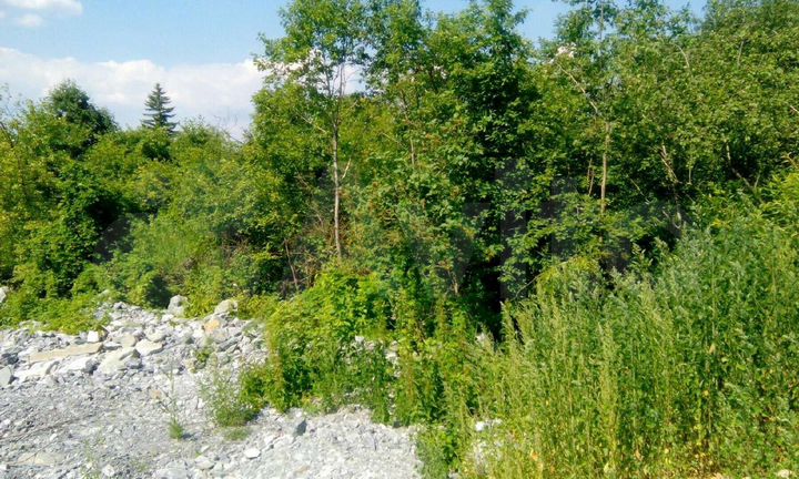 Участок 12 сот. (ИЖС)