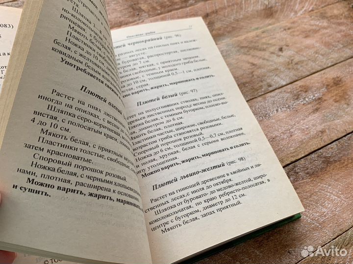 Книга все о грибах