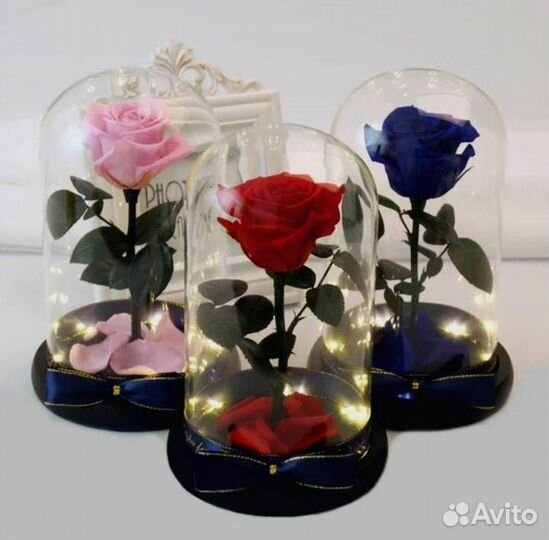Живая роза в колбе
